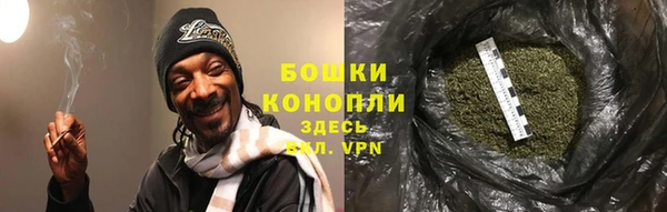мдпв Лагань