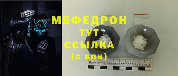 мдпв Лагань