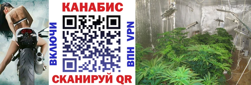 Купить  Снежинск  Каннабис тримм 